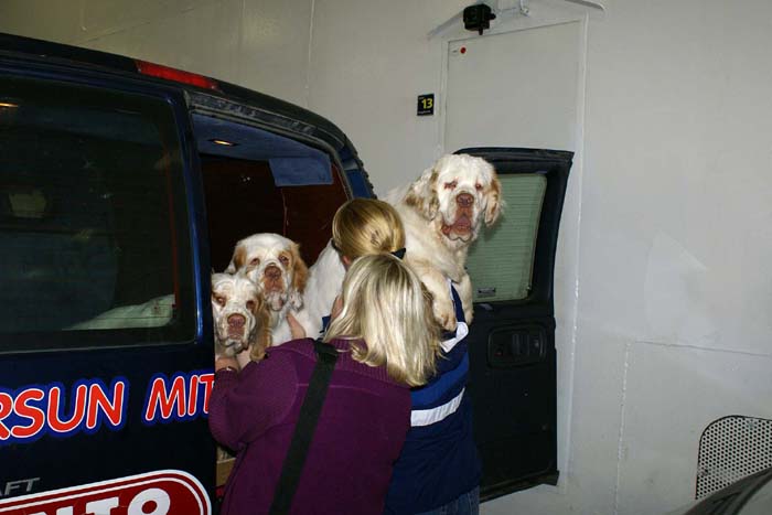 Travelling_to_Budapest_b