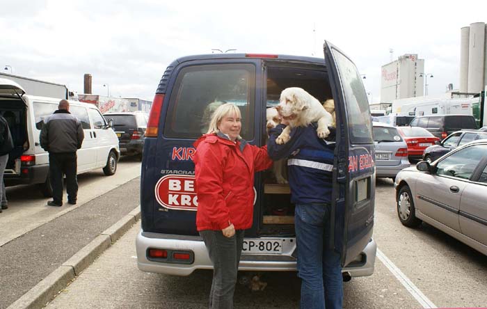 Travelling_to_Budapest_d