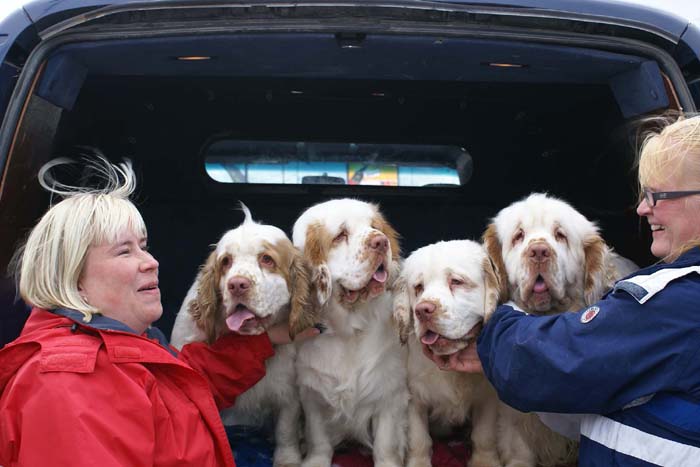 Travelling_to_Budapest_f