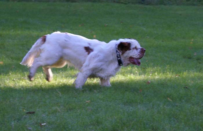 WayBackHome_inSweden_STOmega