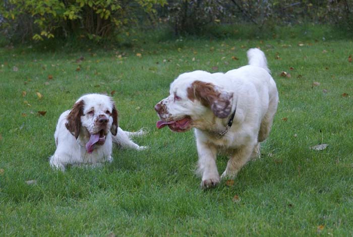 WayBackHome_inSweden_STOmega_Breitling_a