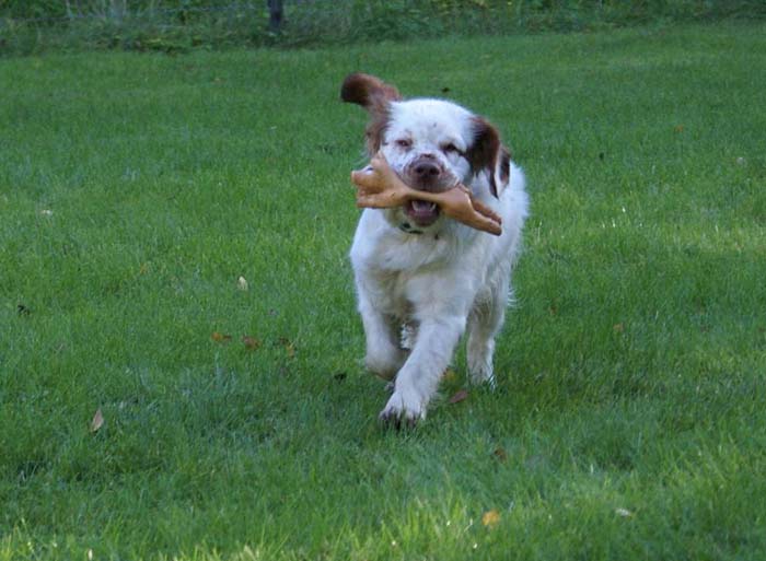 WayBackHome_inSweden_STOmega_d