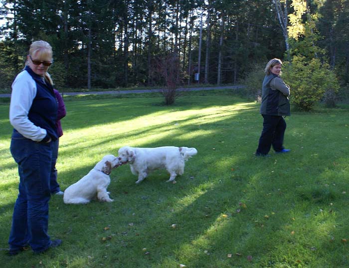 WayBackHome_inSweden_b