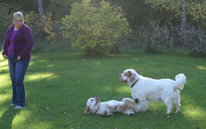 WayBackHome_inSweden_c