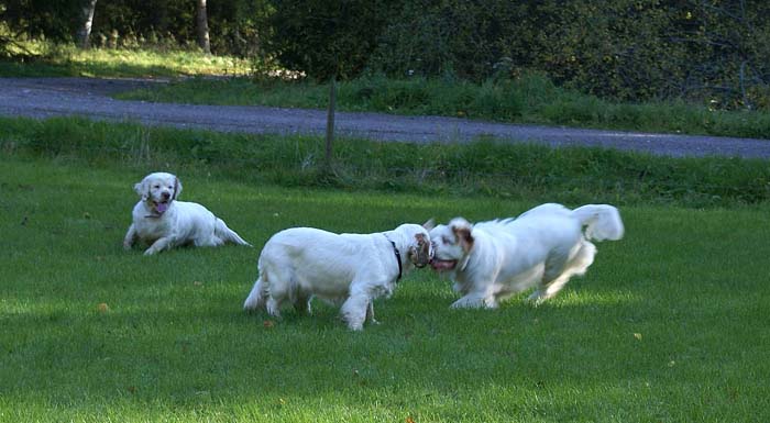 WayBackHome_inSweden_e