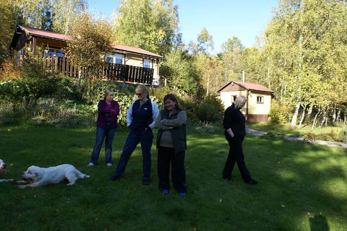 WayBackHome_inSweden_g