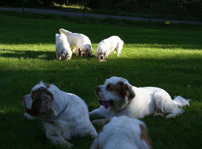 WayBackHome_inSweden_l