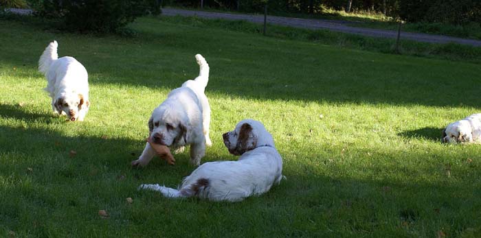 WayBackHome_inSweden_m