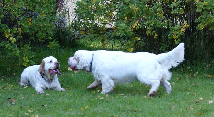 WayBackHome_inSweden_n