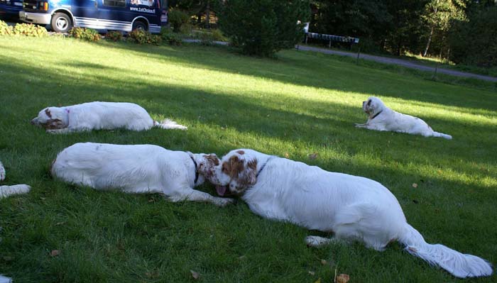 WayBackHome_inSweden_o