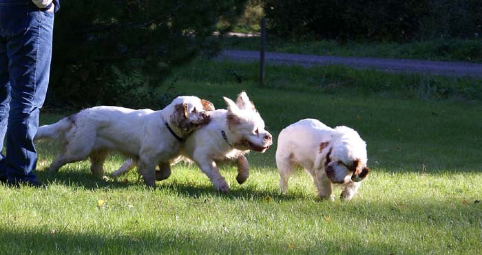 WayBackHome_inSweden_p