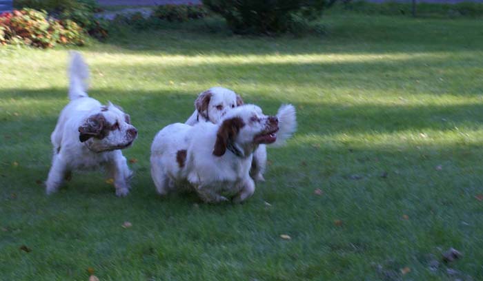 WayBackHome_inSweden_r