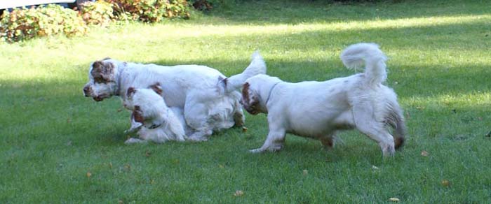 WayBackHome_inSweden_s