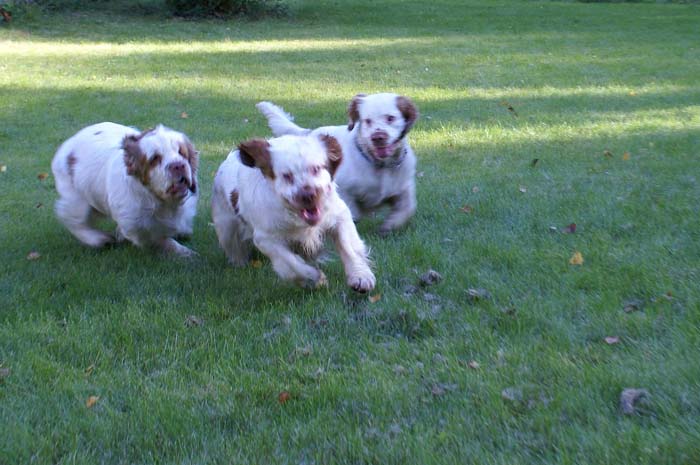 WayBackHome_inSweden_t