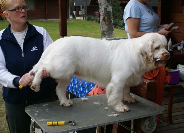 grooming_ST_YesOrSnow