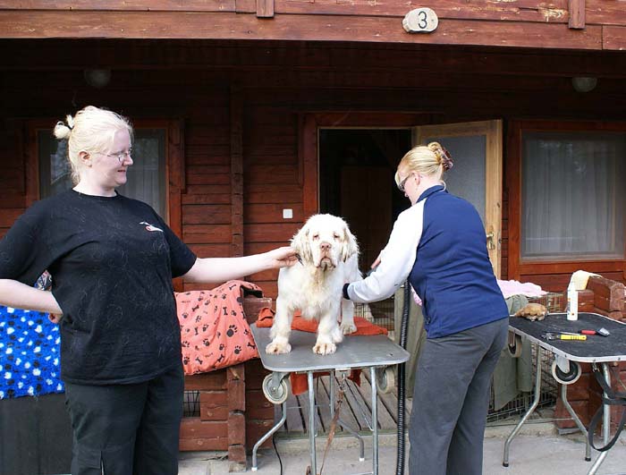 grooming_ST_YesOrSnow_d