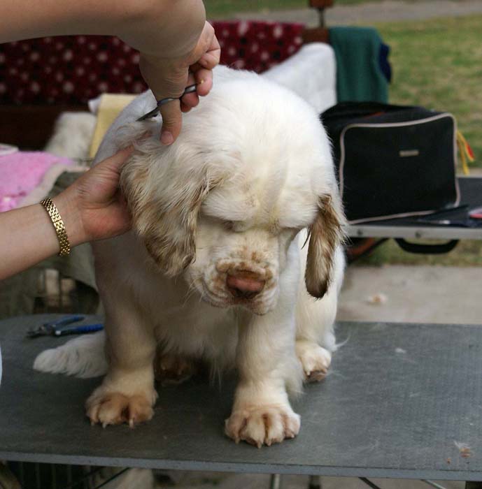 grooming_ST_YesOrSnow_e