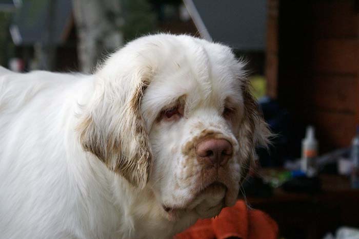 grooming_ST_YesOrSnow_f