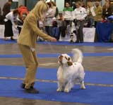 ClubShow_Baileys_Medvedi_Smecka_b