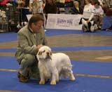 ClubShow_Bradley_Medvedi_Smecka_b