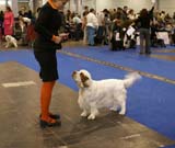 ClubShow_Chervood_Snowsun