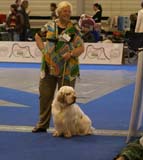 ClubShow_Chervoods_Snowjumper_Rita