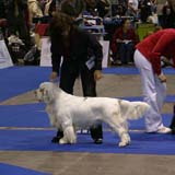 EUW_Badyan_Medvedi_Smecka_b