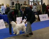 EUW_Belcrum_Billy_the_Kid_c