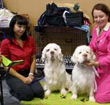 EUW_Bumbaa_with_her_dad_Dexter_b