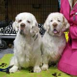 EUW_Bumbaa_with_her_dad_Dexter_d