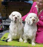 EUW_Bumbaa_with_her_dad_Dexter_e