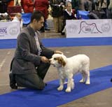 EUW_Chervoods_SnowMeadow