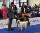 EUW_Chevoods_SnowSun_b