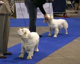 EUW_ST_YesOrSnow_SnowWay_b