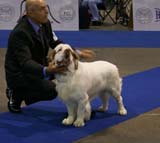 EUW_Vado_Recupero_e_Torno_Cowboy_b