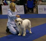 EUW_Vado_Recupero_e_Torno_Martina