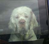 Travelling_to_Budapest_Bumbaa_b