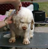 grooming_ST_YesOrSnow_e