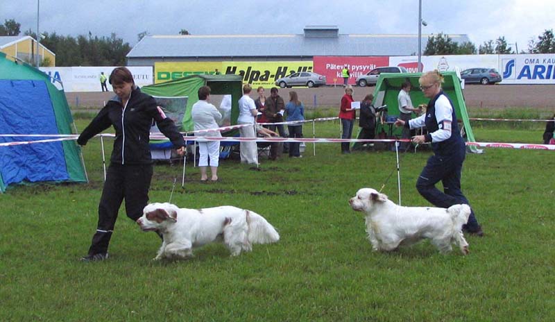 BestDogClass_Oulu2008
