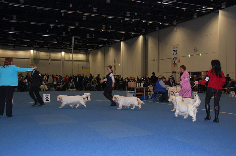 a_FINW-09_Best_Dogs_1_4