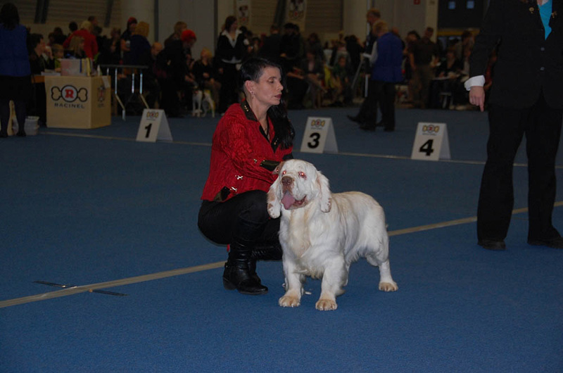 a_FINW-09_Junior_Dog_Freckle-Face_White_Dream