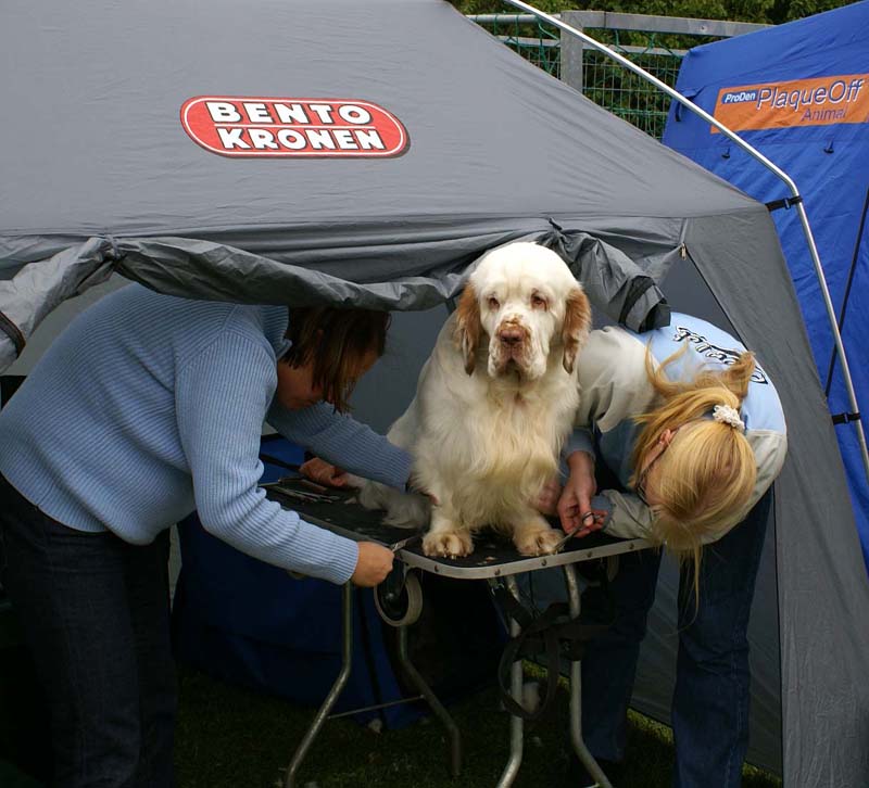 Nexus_SpiceTwice_Vanguard