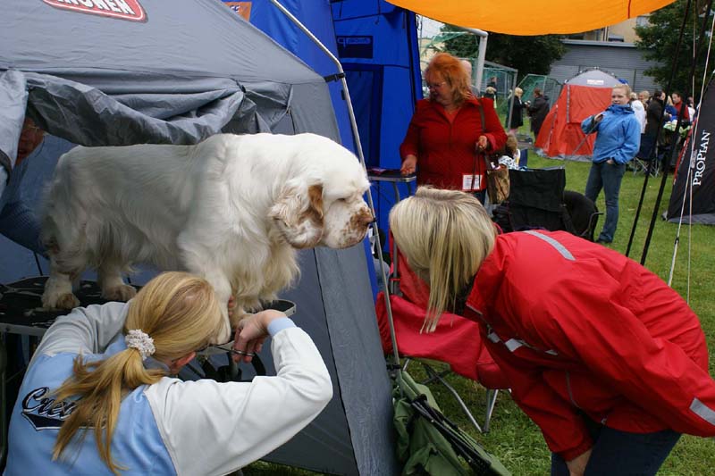 Nexus_SpiceTwice_Vanguard_c