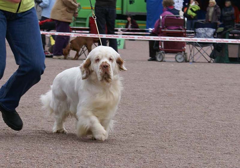 Nexus_SpiceTwice_Vanguard_f