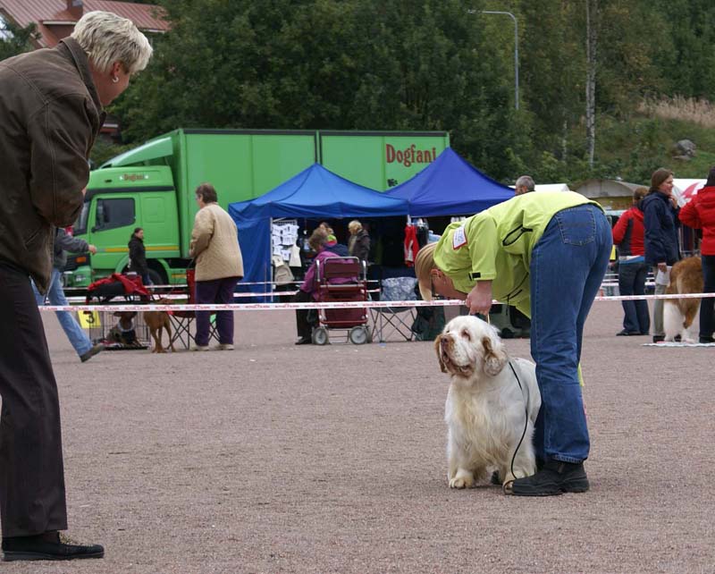 Nexus_SpiceTwice_Vanguard_h