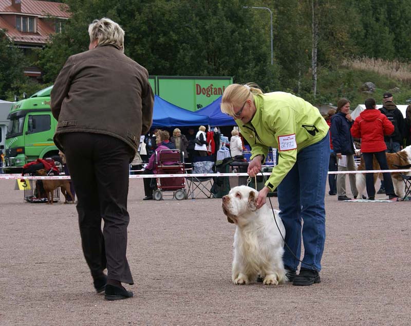 Nexus_SpiceTwice_Vanguard_i