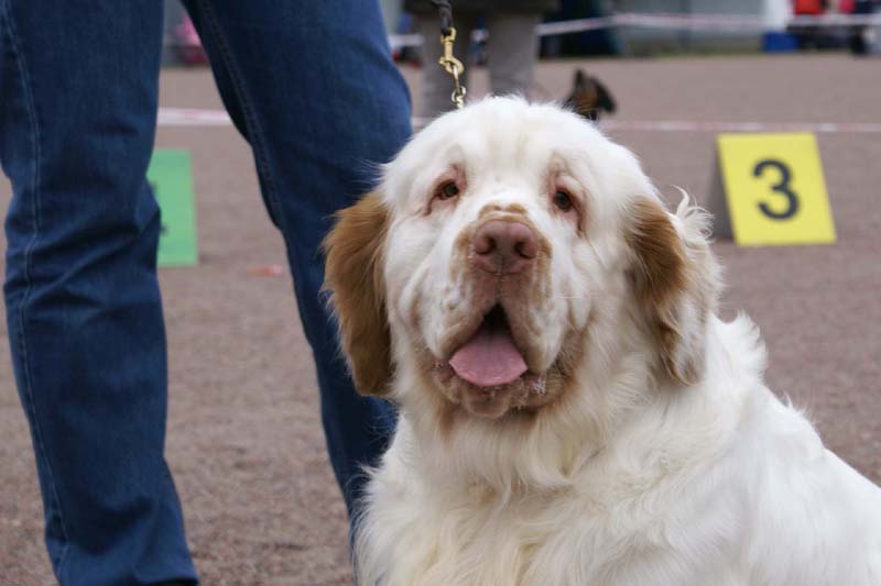 Nexus_SpiceTwice_Vanguard_j