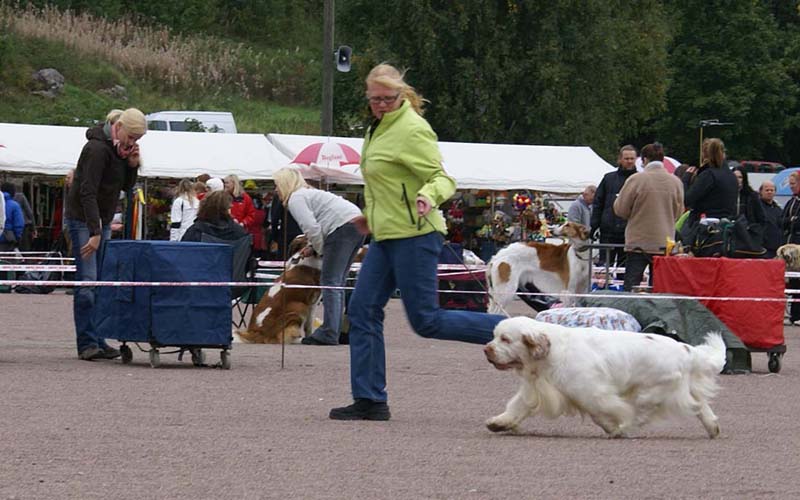 Nexus_SpiceTwice_Vanguard_k