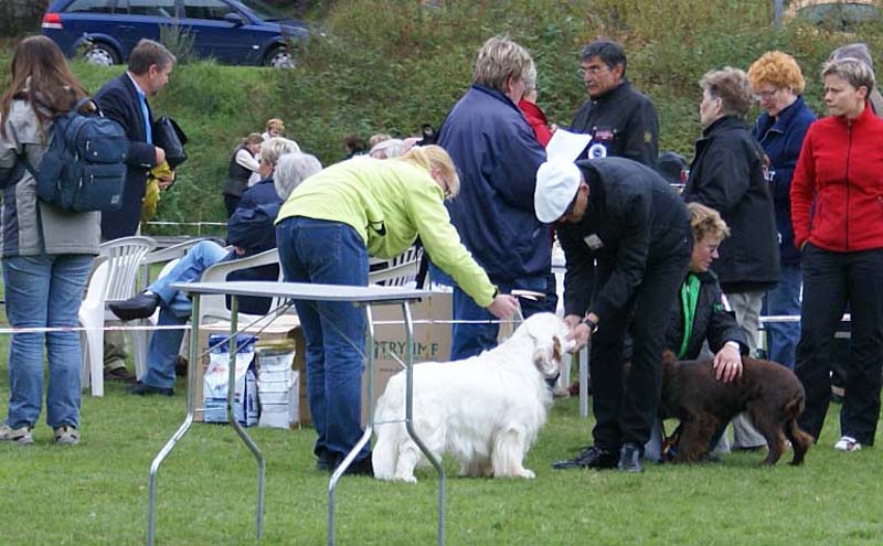 Nexus_SpiceTwice_Vanguard_l