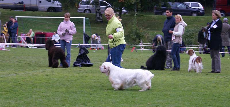 Nexus_SpiceTwice_Vanguard_n